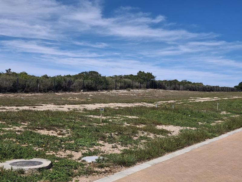 0 Bedroom Property for Sale in Stilbaai Wes Western Cape